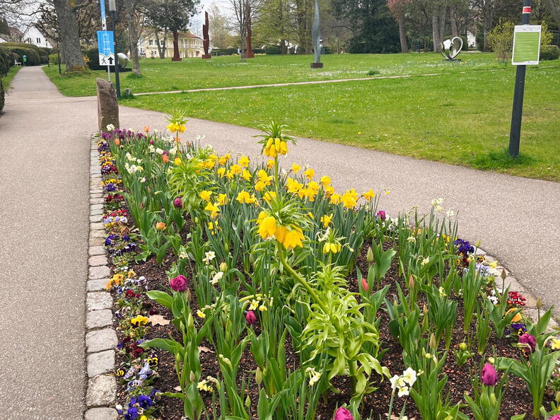 23-04-30 11-41-48 5237